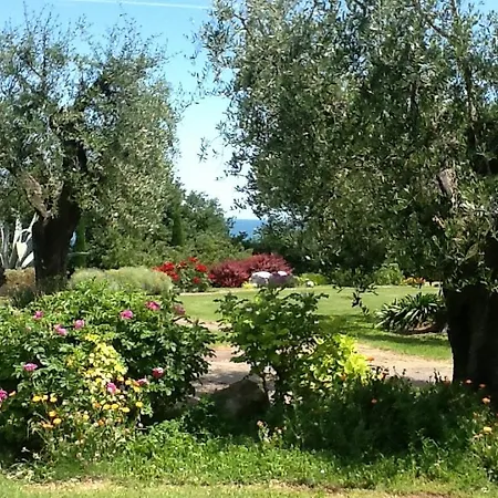 Augusta