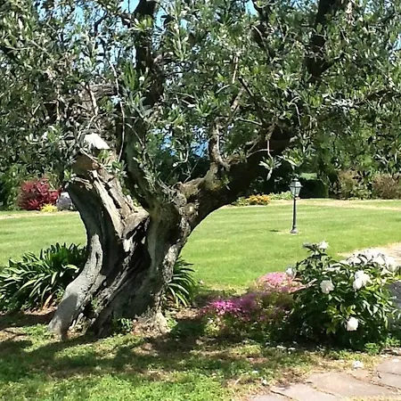 Villa Augusta Fano